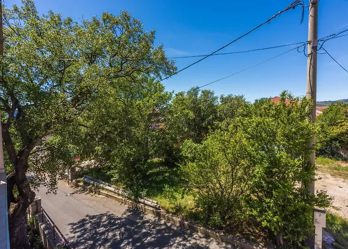 Tustonjic 招待所 3*